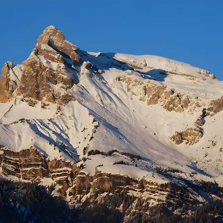 Daire - La Ferme Du Mont Blanc *