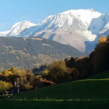 Appartement - La Ferme Du Mont Blanc *