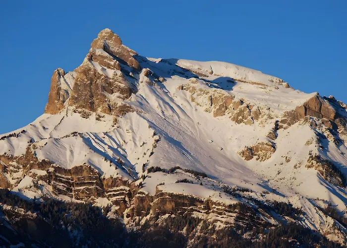 公寓 - La Ferme Du Mont Blanc *