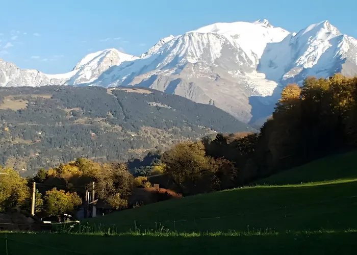 公寓 - La Ferme Du Mont Blanc *